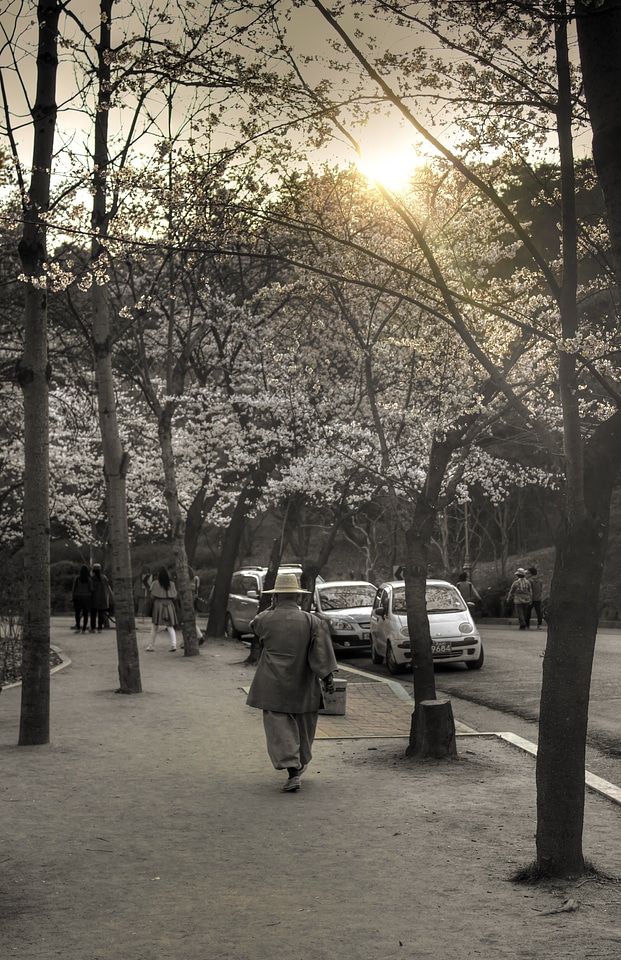 Human desaturated blossoms