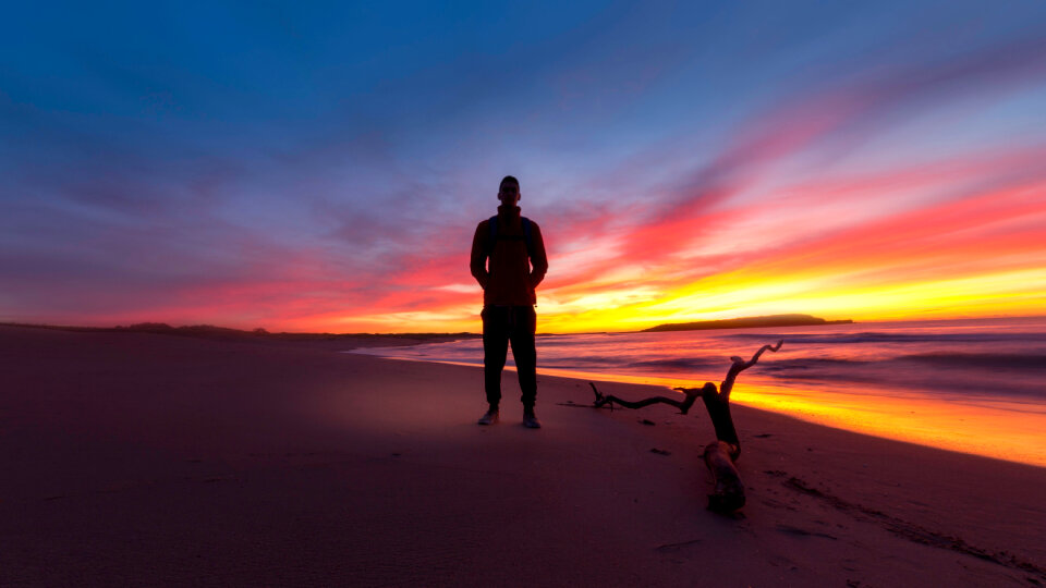 Sunset Purple photo