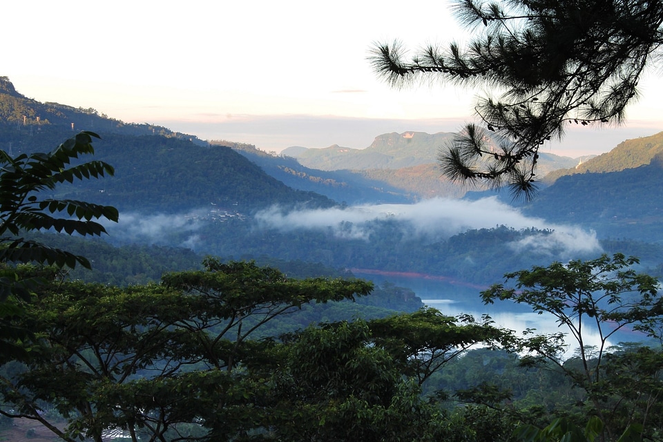 Landscape wilderness scenery