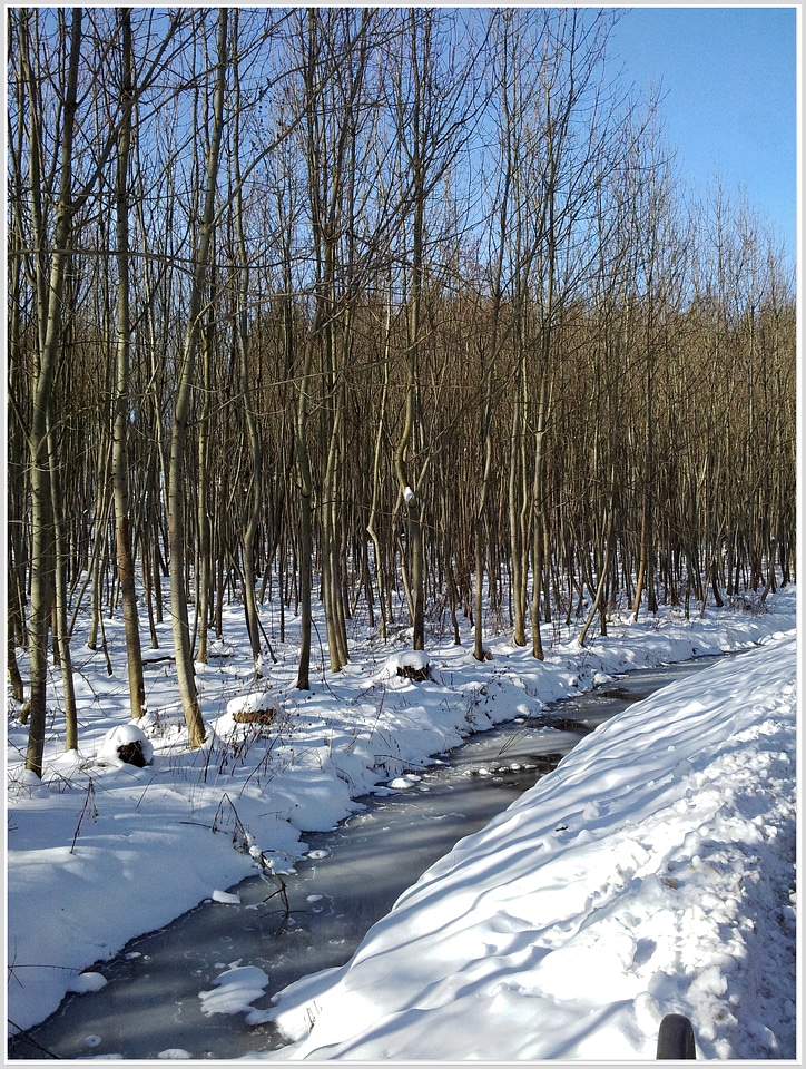 Snow landscape germering