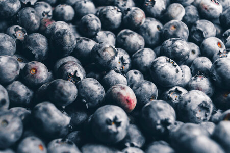 Blueberries Berry photo