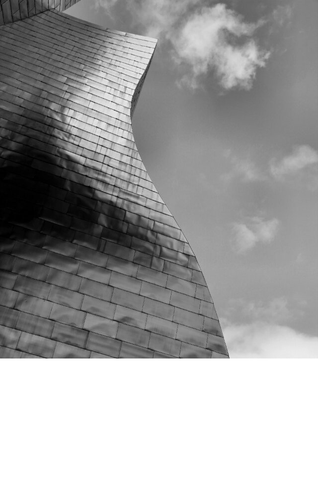 Architecture Building