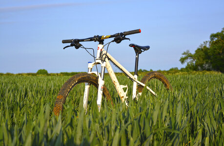 Bike Bicycle photo