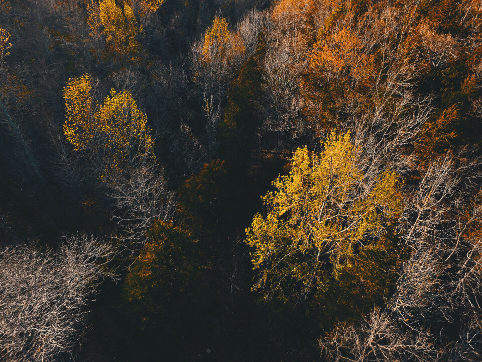 Nature Landscape