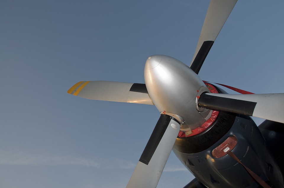 Flying flight aviation