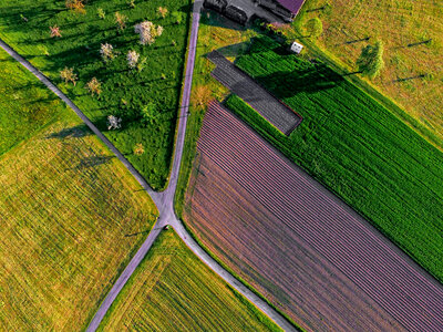 Green Field photo