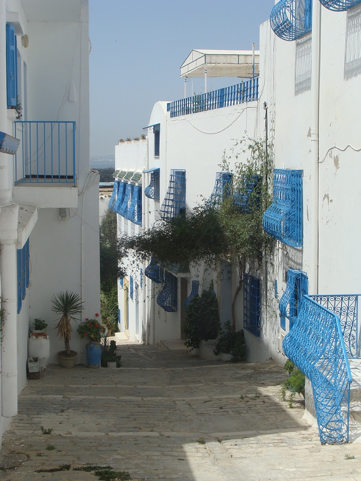 Houses blue white