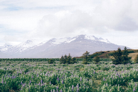 Nature Mountain photo