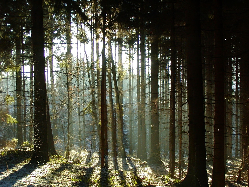 Light sun mood