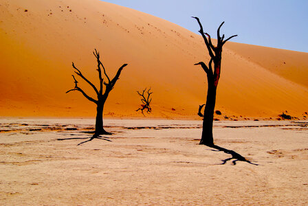 Nature Desert photo