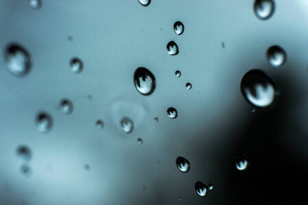 Macro Rain photo