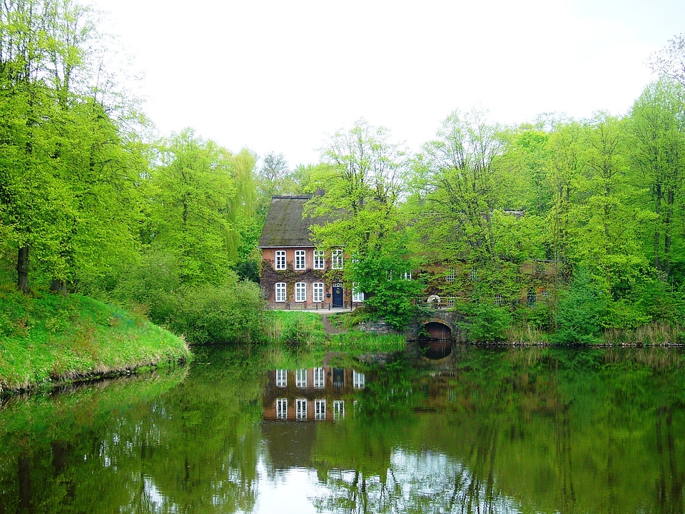 Spring landscape wilderness