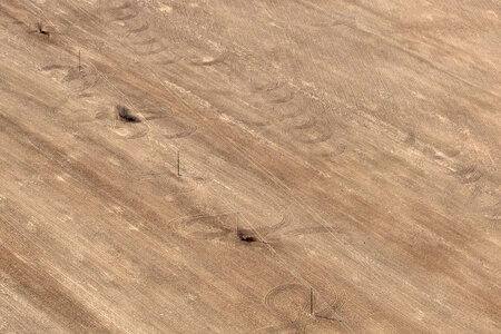 Brown Floor