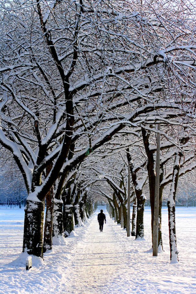 Nature Snow photo