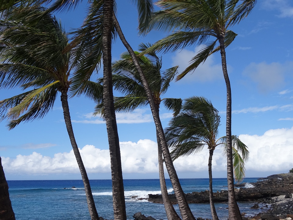 Beach vacations longing