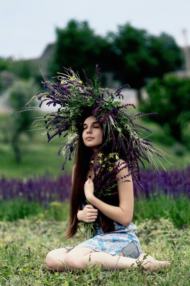 Nature Grass