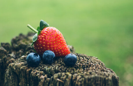Strawberry Blueberry photo
