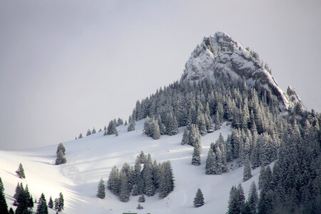 Nature Alps photo