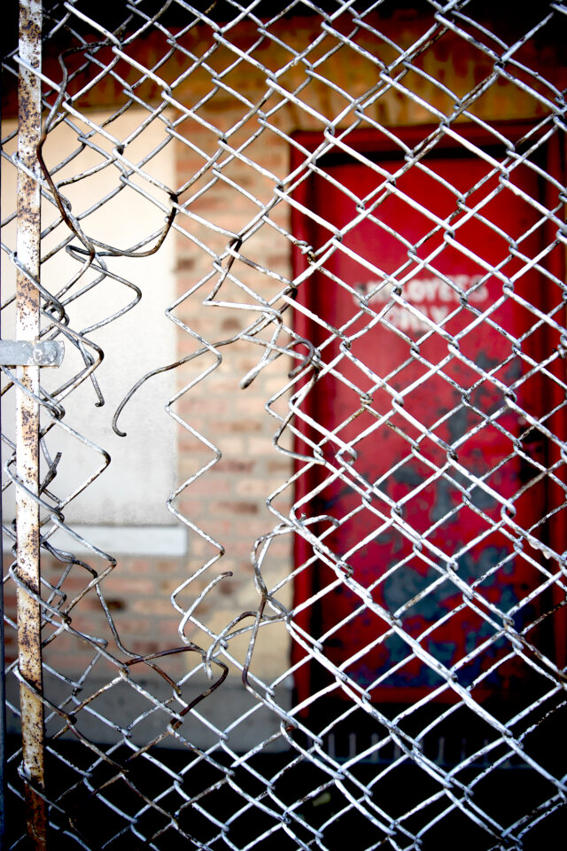 Chicken Wire