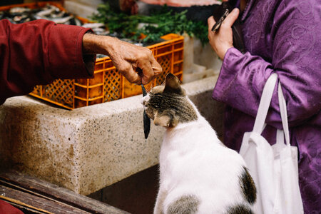 People Market photo