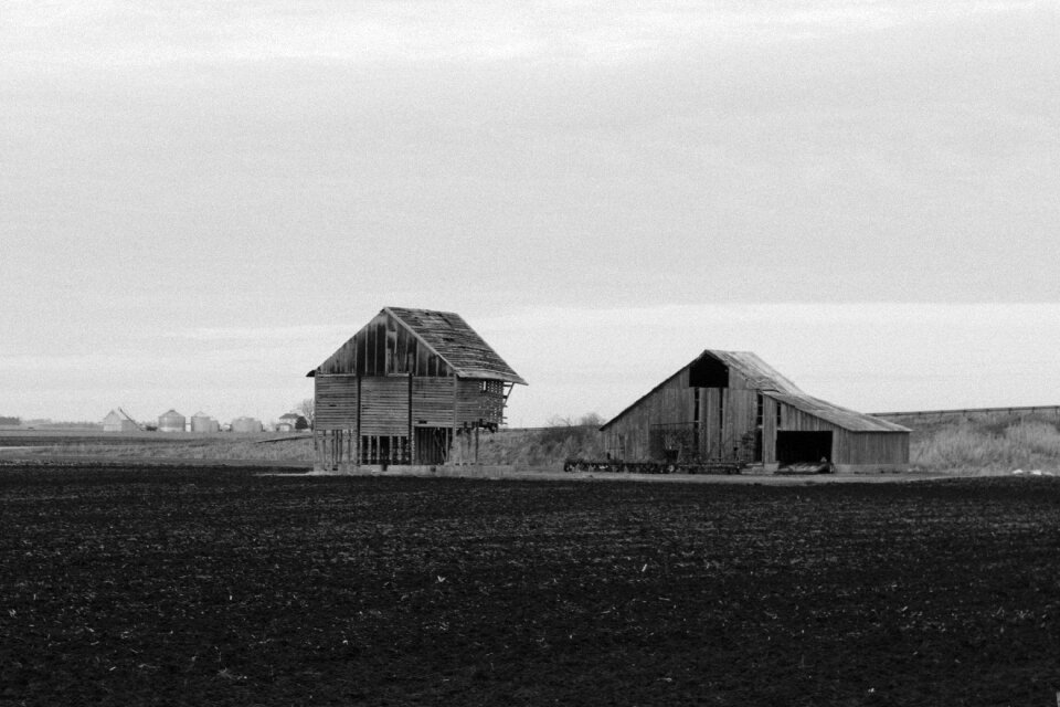 Black And White Hut