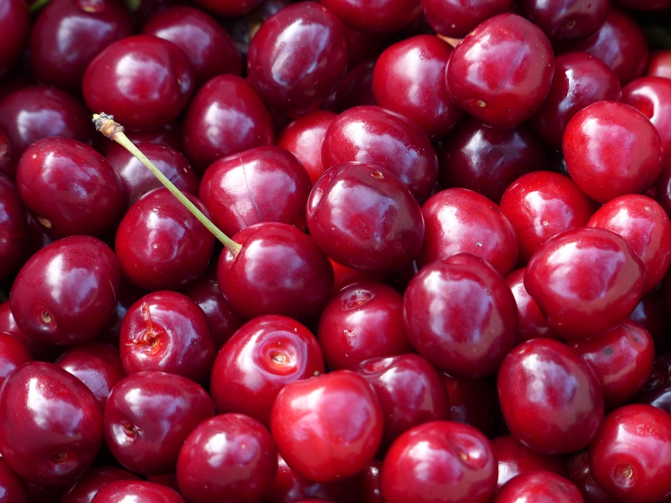 Fruit healthy leaves