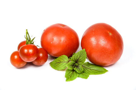 Tomato Crops photo