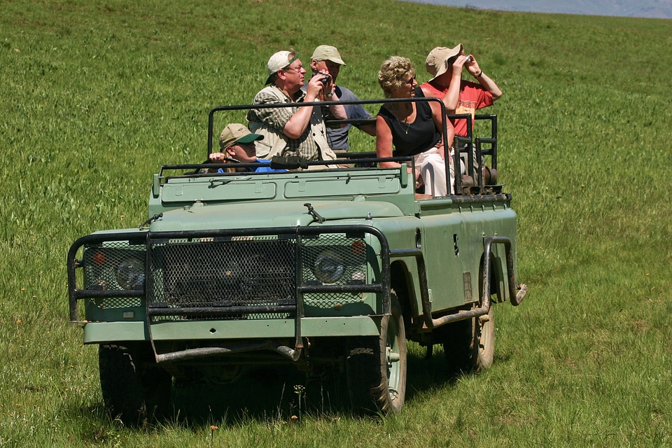 Old defender tourists