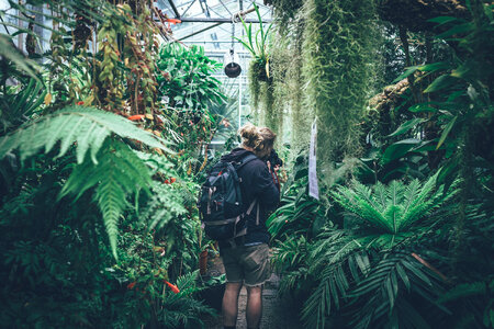 Green Plants