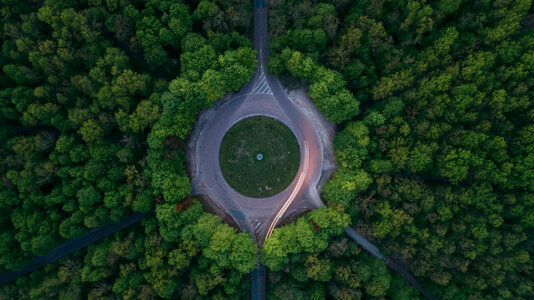 Green Trees photo