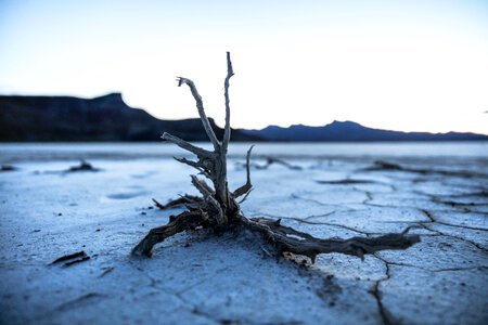 Land Soil