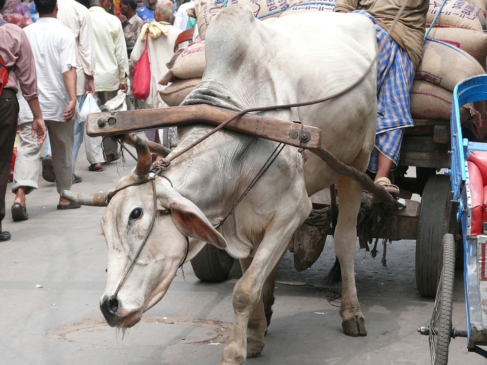 Work the burden of fatigue