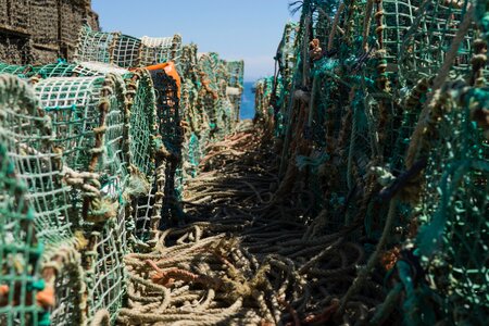 Fishing Net
