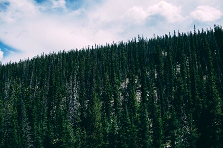 Mountain Green