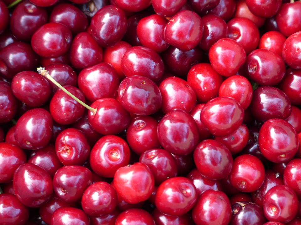 Fruit healthy leaves
