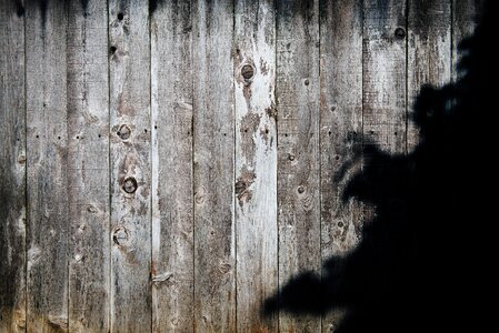 Wood Wooden