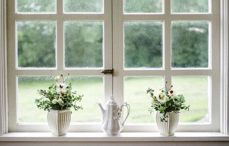 White Window photo