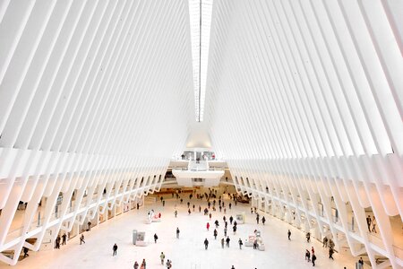 Architecture White