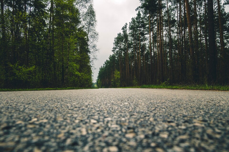 Green Trees