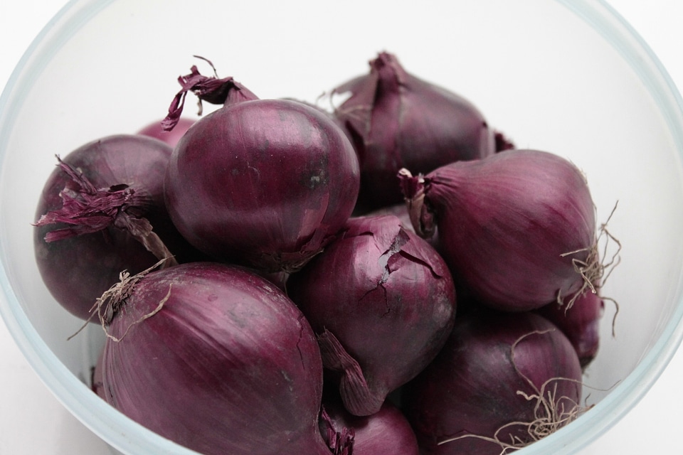 Onion red antioxidants
