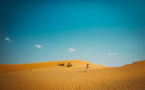 Desert Landscape photo
