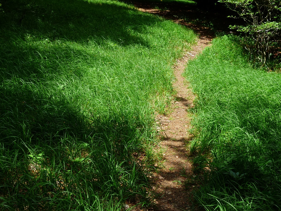 Trail wegchen hike