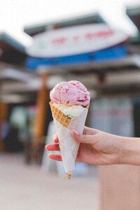 Ice Cream Dessert photo