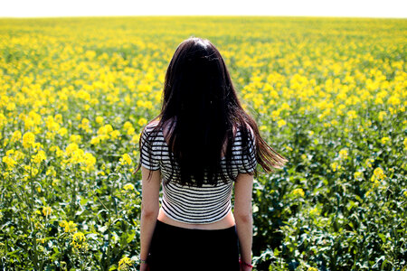 Yellow Flowers photo