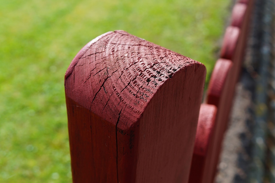 Limit wood red brown