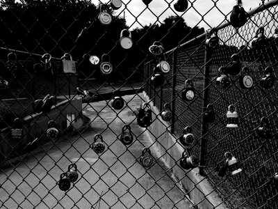 Fence Locks photo