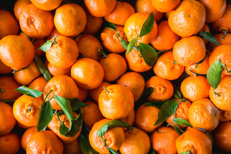 Oranges Fruits photo