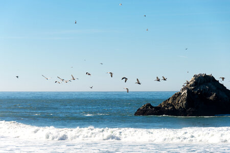 San Francisco Ocean photo