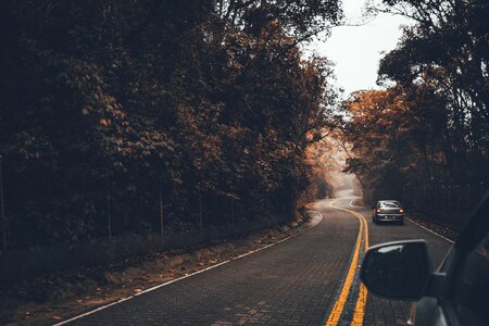 Forest Car