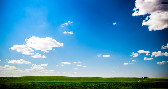 Sunny Landscape photo